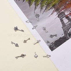 Тибетский стиль ключевые сплава подвески&nbsp;TIBEP-X0001-02-AS