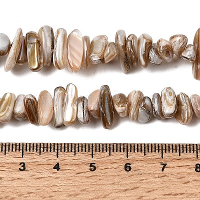 Нити бусин из натуральных пресноводных ракушек&nbsp;SHEL-A006-05-1