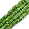 Natural Trochid Shell/Trochus Shell Beads Strands, Dyed, Nuggets, Lime Green, 5~10x1~7mm, Hole: 1mm, about 94pcs/strand, 14.96''(38cm)