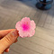 Flower Plastic Claw Hair Clips, Hair Accessories for Women & Girls, Pink, 40x40x30mm