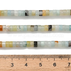 Натуральный цветок амазонитовые бусины пряди G-Z110-A06-2x4mm-02