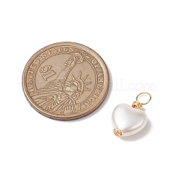 Акриловые кулон&nbsp;PALLOY-JF02731-01