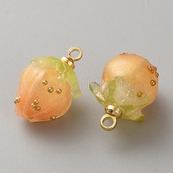 Пластиковые подвески&nbsp;FIND-WH0433-14F