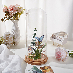 Стеклянный купол AJEW-WH0248-639C