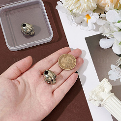 2 шт. латунные европейские бусины&nbsp;KK-PH0013-56AS