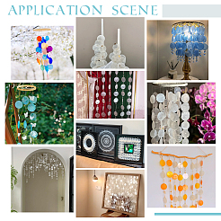 Окрашенные натуральные подвески-соединители из ракушек capiz&nbsp;FIND-WH0816-016B