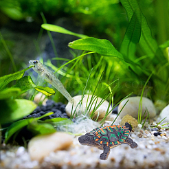 1 набор пластиковых фигурок морских черепах для украшения витрины DJEW-GA0001-48