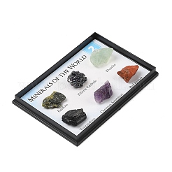 Самородки необработанные необработанные коллекции натуральных камней&nbsp;AJEW-A055-03