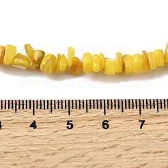 Бусины из натуральных пресноводных ракушек&nbsp;SHEL-B003-01