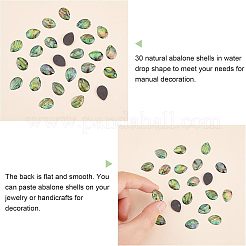 30 шт. кабошоны из ракушки пауа&nbsp;SSHEL-FH0001-17