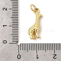 Латунные подвески&nbsp;KK-I364-02G-07