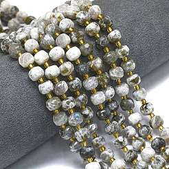 Природные лабрадорита бисер нитей G-K389-E41-01