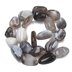 Природные Ботсвана агат бисер нитей&nbsp;G-L650-D03-04