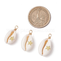 6 шт. 6 стиля подвески из натуральной ракушки каури&nbsp;PALLOY-JF03554