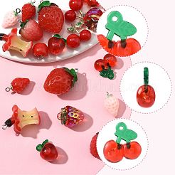 20шт 10 стиля подвески из смолы&nbsp;RESI-FS0002-10