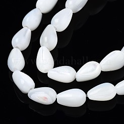 Нити бусин из натуральных трохоидных/трохус ракушек SSHEL-N034-94A-B01