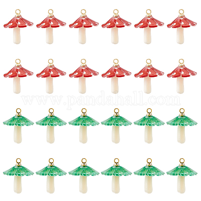 24шт 2 цвета пластиковые подвески KY-DC0001-50-1