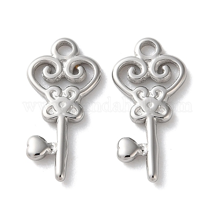 Подвески из нержавеющей стали 304 STAS-L022-555P-1