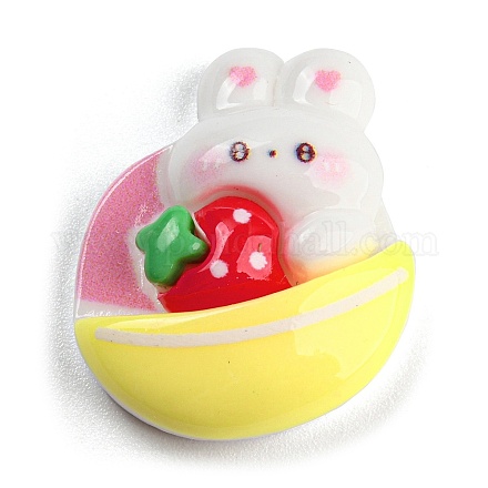 Кабошоны из непрозрачной смолы на тему кролика RESI-C042-02F-1