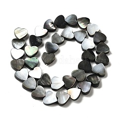 Нити бусин из натуральной черной ракушки для губ BSHE-D300-06B