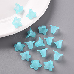 Прозрачные акриловые бусины&nbsp;PLF018-13