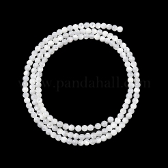 Нити бусин из натуральной белой ракушки G-A177-04-25