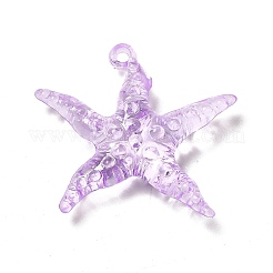 Прозрачные акриловые подвески TACR-P003-05