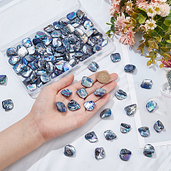 5 нити нити бусины из пресноводных ракушек SHEL-NB0001-58