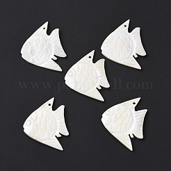 Подвеска из натуральной пресноводной раковины SHEL-H001-02