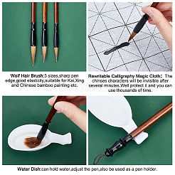 10 шт. китайская каллиграфическая кисть для письма водой AJEW-PH0004-93B