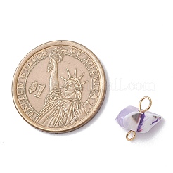 Подвески-коннекторы из окрашенных натуральных ракушек-трохидов PALLOY-JF04585