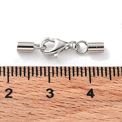 Антикоррозийные застежки-клешни из стерлингового серебра 925 шт. STER-P055-03C-P