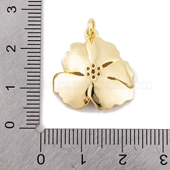 Стойки обшивки латунь микро проложить Циркон подвеску KK-K367-21G-01