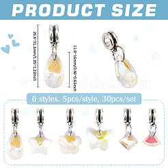 30 шт. 6 стиля стеклянные европейские подвески-шармы&nbsp;PALLOY-PH01876