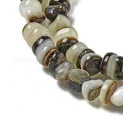 Нити бусин из натуральной черной ракушки для губ BSHE-G039-02