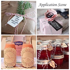 100м макраме 2-слойная хлопковая тесьма&nbsp;MAKN-PW0001-097A-02