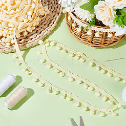 Нейлоновый шарик с помпоном и кисточкой DIY-WH0580-31C