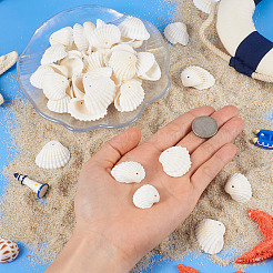 Подвески из раковины SSHEL-TA0001-03