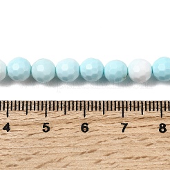 Бусины из натурального магнезита&nbsp;G-P598-E-6mm-01