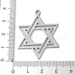 Подвески из нержавеющей стали 304&nbsp;LS-STAS-R116-01P