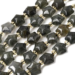 Природные лабрадорита бисер нитей&nbsp;G-Z080-A33-10mm