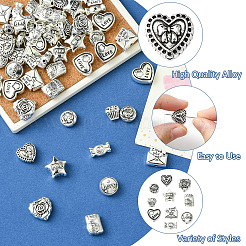 60 шт. 10 стиля бусины из сплава в тибетском стиле на тему Дня святого Валентина&nbsp;TIBEB-CJ0001-38