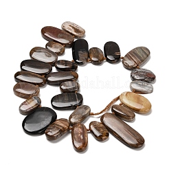 Природные окаменелое дерево бисер пряди G-C253-07