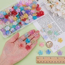 200 шт. акриловые колпачки для бусин&nbsp;OACR-FG0001-31A