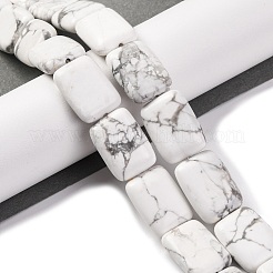 Природные Говлит бисер нитей G-T047-B23-01