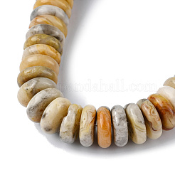 Натуральные сумасшедшие кружевные агатовые бусины G-F743-06J