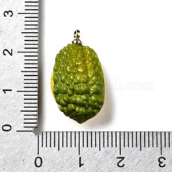 Латунные подвески из акрила OACR-R006-03G-01