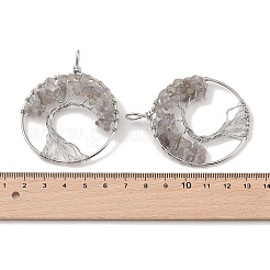 Натуральный лабрадорита большие подвески&nbsp;G-G910-K12-P