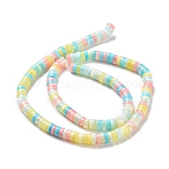 Природные trochid бусы нити SSHEL-G023-02B-01