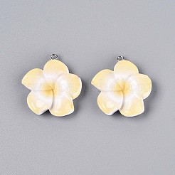 Подвески из непрозрачной смолы&nbsp;RESI-T059-05F